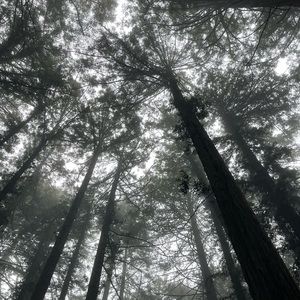 Meet your Posher, Cualoci